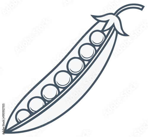 Open pea pod with peas, fresh vegetable illustration