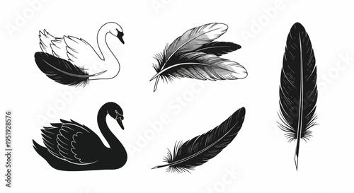Engravings of Graceful Swans and Delicate Plumes Symbolic of Nature s Beauty and Lightness perfect for Design Projects with Artistic Flair Representing Freedom and Inspiration in Creative Works