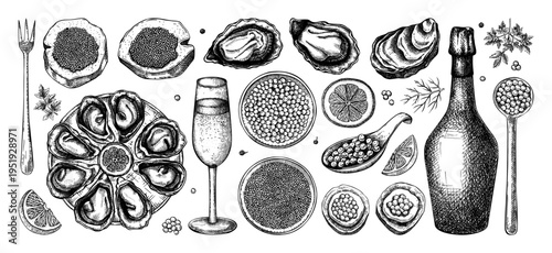 Luxury seafood collection with caviar, oysters and champagne hand drawn vector illustrations. for restaurant menu designs and food branding in engraved style. NOT AI generated