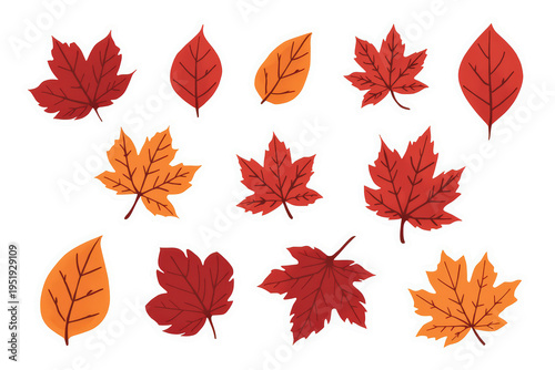 Autumn season fall leaves sticker set in red and orange colors isolated on transparent background
