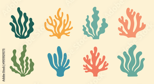 Collection of Diverse Seaweed Shapes Showcasing Natural Aquatic Beauty Colorful Marine Plant Variety for Decorative Purposes Aquatic Flora Displaying Unique Textures and Forms Sea Life Concept