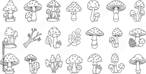 Collection of hand-drawn doodle mushrooms and forest elements in black and white outline