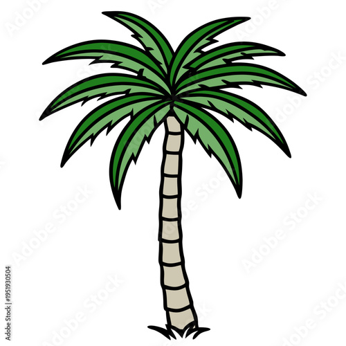 palm tree vector