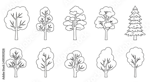 Collection of Tree Shapes for Creative Design Projects Use this drawing of different tree varieties perfect for educational resources or art projects that require a variety of natural elements