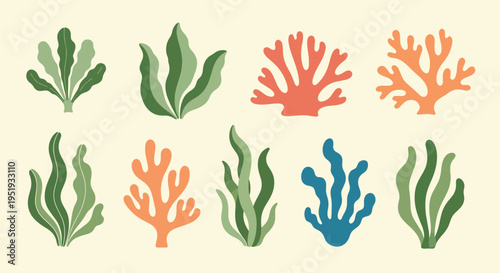 Diverse botanical elements from the sea, showcasing coral and seaweed in lively hues, bring forth a touch of the ocean's charm, making it suitable for decorative applications and creative