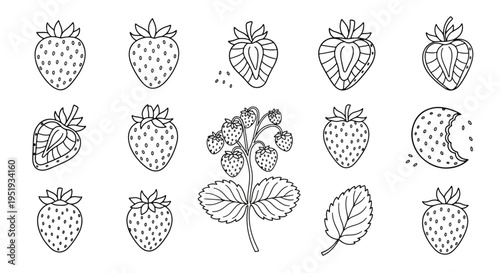 Collection of various strawberry doodle illustrations and a stem
