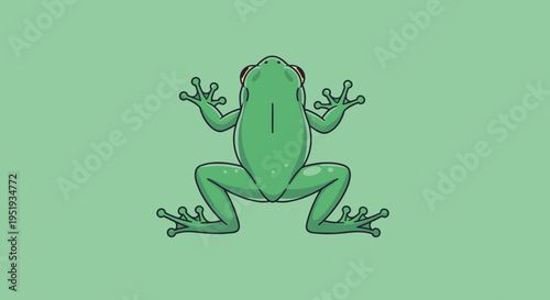 Green Frog Sitting Upright View.