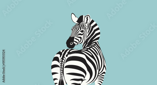 Black and white zebra portrait.