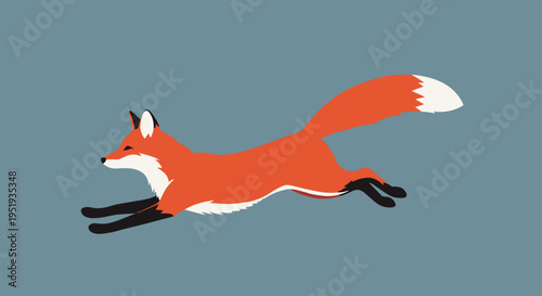 Red Fox Running in Air Fast.