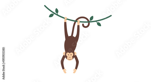 Monkey hanging from a tree branch.