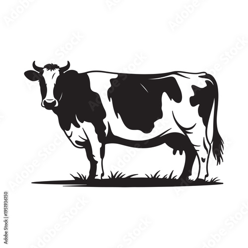 Holstein Cow Standing on Grass – Black and White Farm Animal Silhouette Vector
