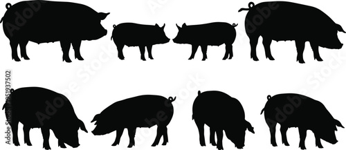 Vector illustration of pig silhouettes showing different poses, feeding, grazing, standing, farm animals, livestock diversity, and agricultural representation