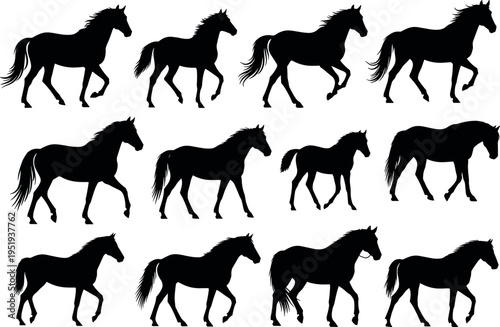 Horse silhouette vector illustration with walking and trotting motion sequence, equine locomotion artwork, creative design elements, decorative composition