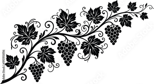  Decorative grapevine silhouette with detailed leaves, grape clusters, butterflies, ornate vector artwork, elegant botanical design for creative background illustration