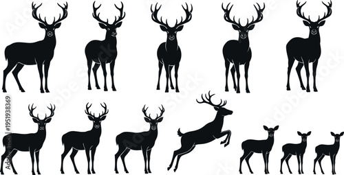  Black silhouette vector illustration of deer with antlers and fawns in various poses, wildlife, forest, nature, animal design concept