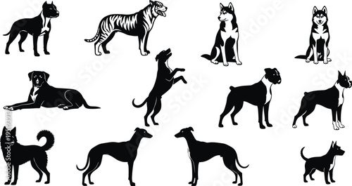 Dog breed silhouettes in diverse poses including sitting, standing, lying, jumping, with tiger contrast highlighting canine and feline anatomy differences