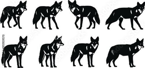 Black silhouette vector illustration, foxes in different poses, standing, sitting, tail variations, white markings, wildlife concept, animal design