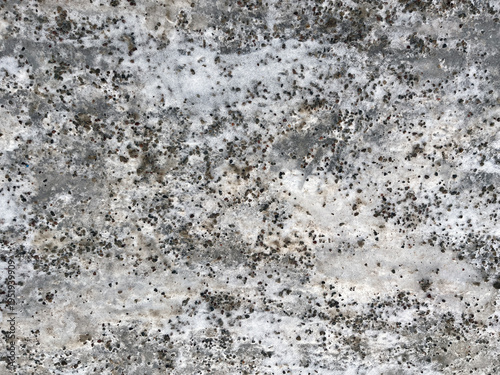 Close‑up of weathered concrete with speckled dark spots, mottled gray tones, and rough porous texture, forming a natural abstract surface pattern.
