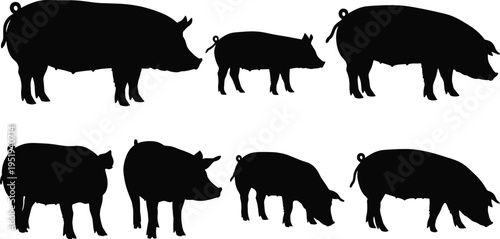 Pig silhouettes, livestock animals, farm theme, agricultural illustration, domestic pigs, black vector graphics, animal icons, pig farming concept, pig shapes