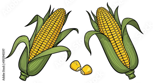 Two detailed corn cobs with vibrant yellow kernels and green husks are depicted alongside a small corn kernel silhouette high quality