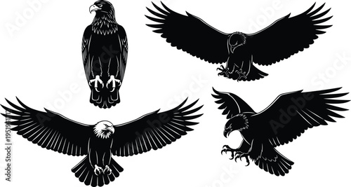 Eagle silhouettes perched, flying, soaring, swooping with talons, bald eagle figure, vector illustration for design, artwork, wildlife themes