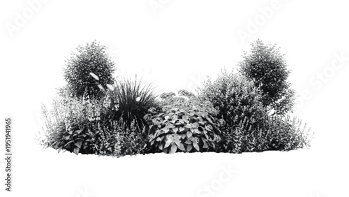 Dense bush and foliage arrangement with detailed leaves and texture against grey background, natural garden element
