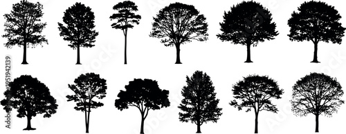 Black silhouette vector illustration of diverse tree shapes, canopies, trunks, botanical variety, landscape design elements