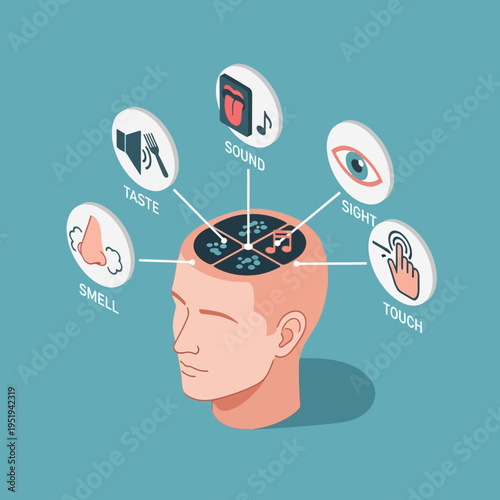 Diagram illustrating the five human senses: sight, sound, smell, taste, and touch, connected to the brain.