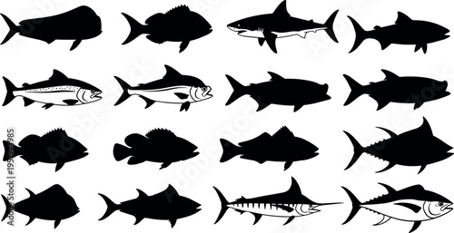 Silhouette vector illustration of diverse fish species, marine life icons, underwater animals, fishing elements, aquatic biodiversity, educational biology graphics