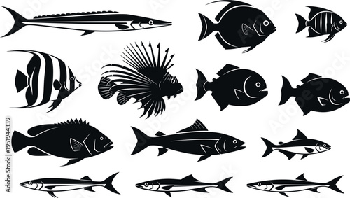 Fish silhouettes vector illustration, diverse marine species artwork, aquatic animal design elements, underwater life patterns, creative decorative sea creatures collection