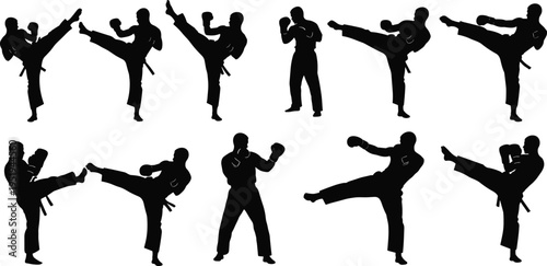 Martial arts silhouettes, dynamic high kicks, fighting stances, karate taekwondo techniques, combat training, balance strength precision vector illustration design