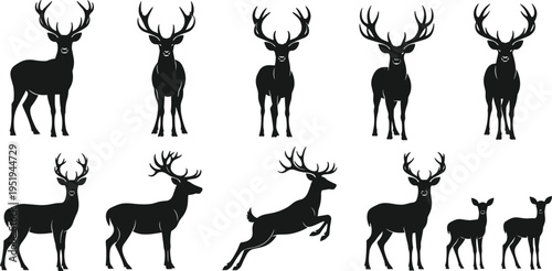 Silhouettes of deer in various poses, antlered stags and family group, wildlife nature concept, black vector illustration, design elements