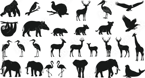 Silhouettes of diverse animals including gorilla, deer, giraffe, elephants, birds, seal, flamingos, wildlife biodiversity vector illustration artwork
