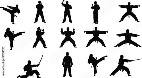 Martial arts silhouettes, karate, taekwondo, kung fu, kendo, samurai sword fighting, defensive stances, high kicks, combat training illustration