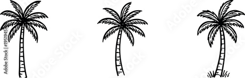 palm tree outline icon set, vector tropical coconut trees with sketch style for beach summer vacation and nature design isolated on transparent background