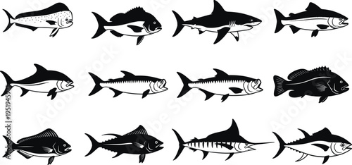 Silhouettes of diverse fish species in side profiles, marine biology study, aquatic wildlife, ocean creatures vector illustration artwork