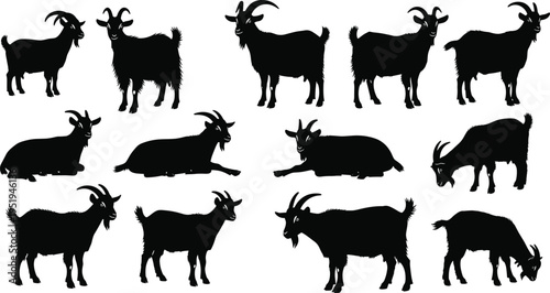 Goat silhouettes in diverse poses, standing, grazing, lying down, horned livestock vector illustration for design, artwork, farm themes