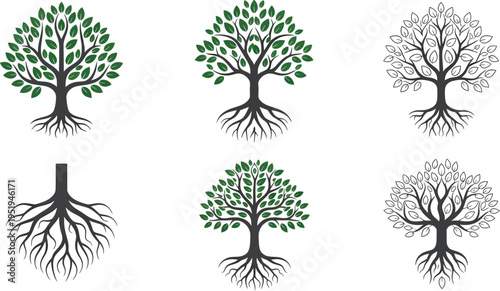 Collection of stylized tree icons showing various stages of growth and root structures on a white background.