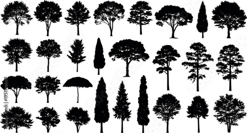 Silhouette vector illustration of diverse tree types, broadleaf, conifers, ornamental species, foliage patterns, landscape design, botanical study, creative art