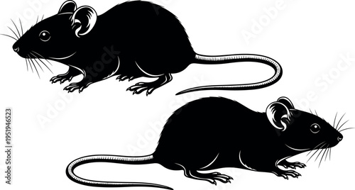 Mouse silhouettes vector illustration, rodent side profile artwork, biological animal design elements, educational decorative pest control pattern collection
