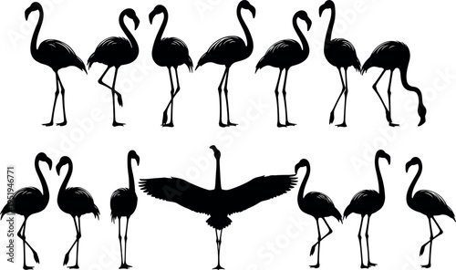 Silhouette icons of flamingos, bird group diversity, long necks, curved beaks, slender legs, avian contrast vector illustration design