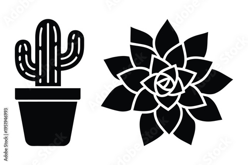 Potted cactus and succulent vector icons illustration