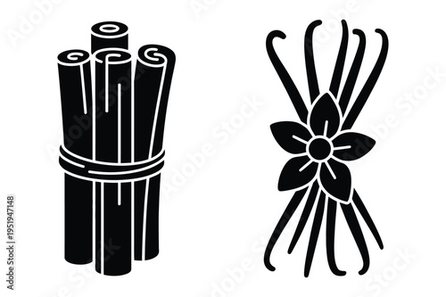 Cinnamon sticks and vanilla pods vector illustration icons
