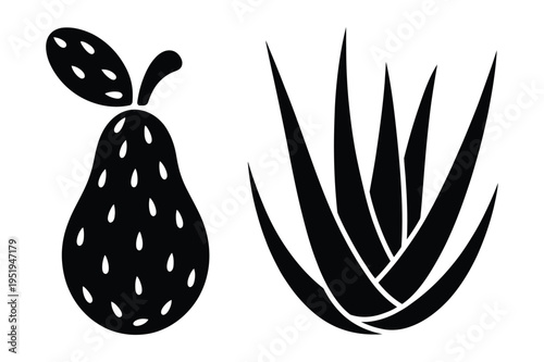 Pear and aloe vera plants vector graphics