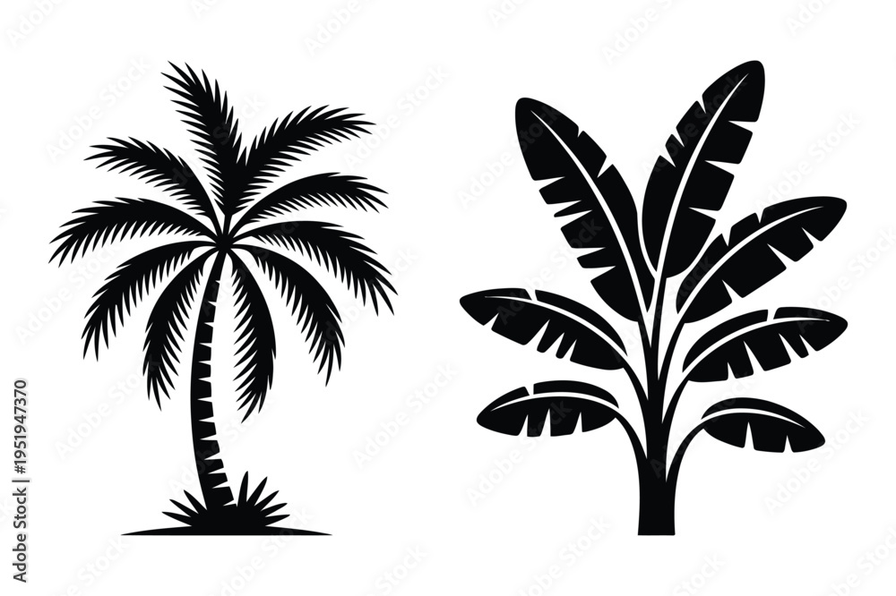 Naklejka premium Vector illustration of palm tree and banana leaves silhouette