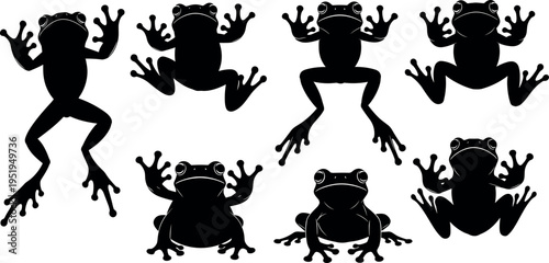 Vector illustration of frog silhouettes, amphibian icons, diverse poses, wildlife concept, biology study, nature design elements, creative educational artwork