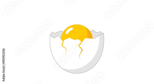Minimalist Cracked Egg Illustration with Fresh Yellow Yolk and White Shell Isolated on White Background