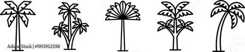 palm tree icon set, vector outline tropical trees for beach summer travel and island themes isolated on transparent background