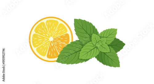 Fresh Lemon Slice with Green Mint Leaves Vector Illustration Isolated on White Background for Beverage, Health and Wellness Designs