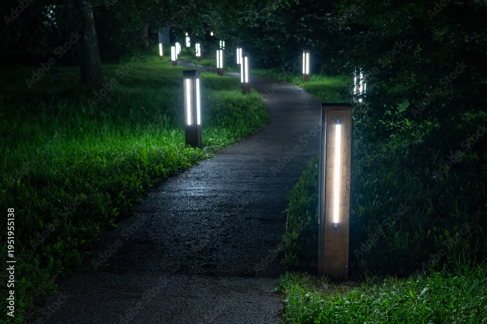 Ταπετσαρία Winding asphalt path illuminated by sleek modern LED bollard lights through dark, lush green park at night, offering serene and safe nocturnal walk